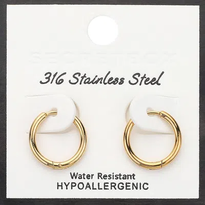 Fashnzfab Secret Box_stainless Steel Huggie Hoop Earrings In Gold