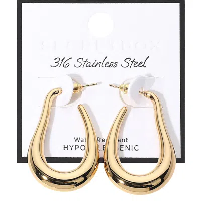 Fashnzfab Secret Box_stainless Steel Hypoallergenic Teardrop Hoop Earrings - Gold