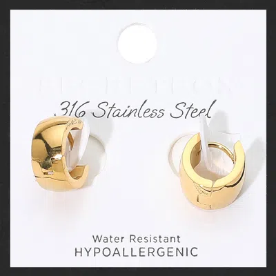 Fashnzfab Secret Box_stainless Steel Mini Huggie Hoop Earrings - Gold