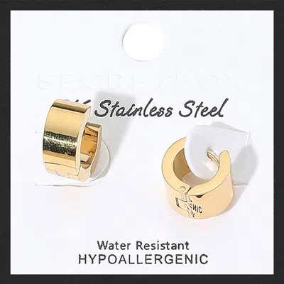 Fashnzfab Secret Box_stainless Steel Mini Huggie Hoop Earrings - Gold