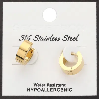 Fashnzfab Secret Box_stainless Steel Mini Huggie Hoop Earrings In Gold
