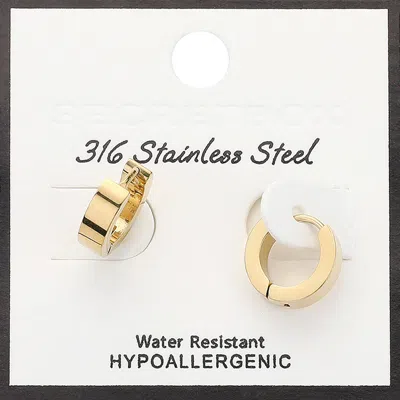 Fashnzfab Secret Box_stainless Steel Mini Huggie Hoop Earrings In Neutral