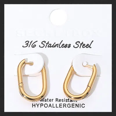 Fashnzfab Secret Box_stainless Steel Oval Huggie Hoop Earrings In Gold