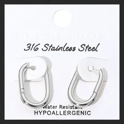 Fashnzfab Secret Box_stainless Steel Oval Huggie Hoop Earrings In Multi