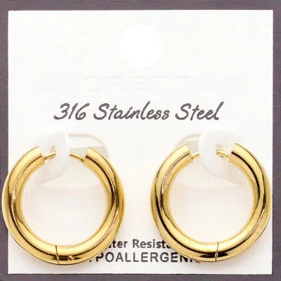 Fashnzfab Secret Box_stainless Steel Round Classic Hoop Earrings In Gold