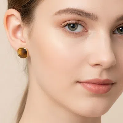 Fashnzfab Secret Box_stainless Steel Square Stone Stud Earrings In Brown