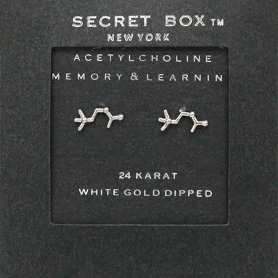 Fashnzfab Secret Box_sterling Silver Dipped Acetylcholine Hormone Molecule Earrings