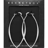 Fashnzfab Secret Box_sterling Silver Dipped Metal Hoop Pin Catch Earrings - Silver In Metallic