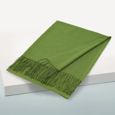 Fashnzfab Solid Color Pashmina Scarf Shawl In Green