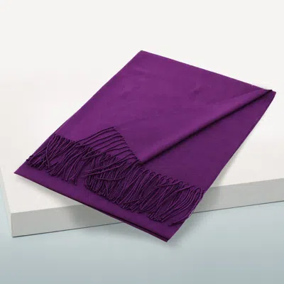 Fashnzfab Solid Color Pashmina Scarf Shawl In Purple