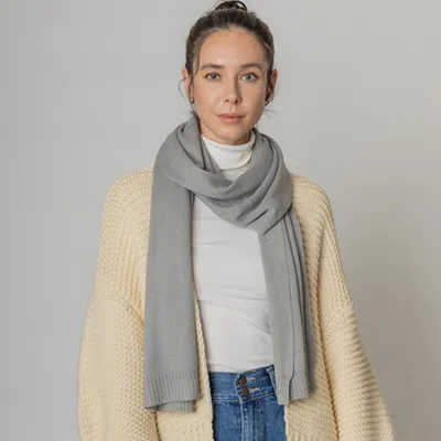 Fashnzfab Solid Knit Scarf In Gray