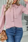Fashnzfab Solid Swiss Dot Neck Tie Detail Blouse