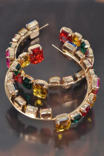 Fashnzfab Sophisticated Stone Hoop Adornment In Pink