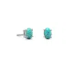 Fashnzfab Stabilized Turquoise Stud Earrings In Pink