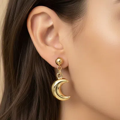 Fashnzfab Stainless Steel Crescent Moon Charm Drop Dangle Earrings In Gold