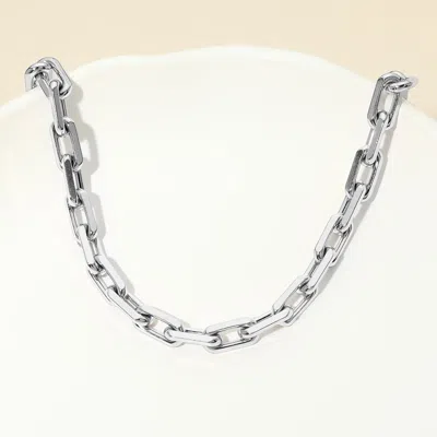 Fashnzfab Stainless Steel Paperclip Chain Necklace In Silver
