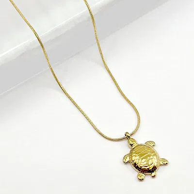 Fashnzfab Stainless Steel Sea Turtle Pendant Necklace In Gold