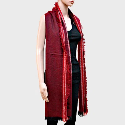 Fashnzfab Stripe Accented Scarf With Raw Fringe Trim In Red