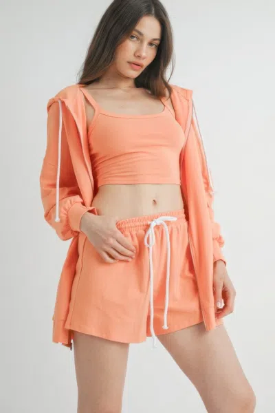 Fashnzfab Sweater 3 Piece Set