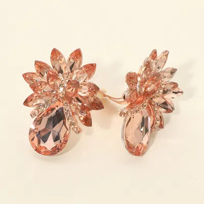 Fashnzfab Teardrop Stone Accented Clip On Evening Earrings In Brown