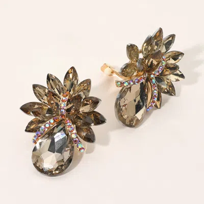 Fashnzfab Teardrop Stone Accented Clip On Evening Earrings In Multi