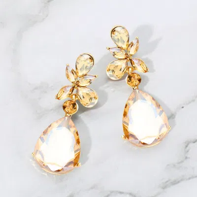 Fashnzfab Teardrop Stone Dangle Evening Earrings In Multi