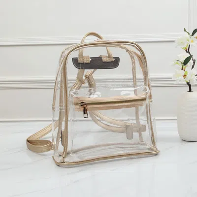 Fashnzfab Transparent Backpack Bag In Gold
