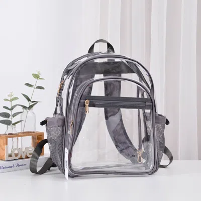 Fashnzfab Transparent Backpack Bag In Gray