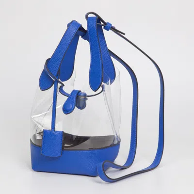 Fashnzfab Transparent Bucket Shoulder Bag / Crossbody Bag In Blue