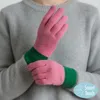 Fashnzfab Two Toned Knit Smart Touch Gloves In Multi