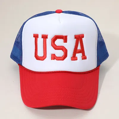 Fashnzfab Usa Embroidered Mesh Back Trucker Cap In Multi
