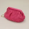 Fashnzfab Weave Dumpling Hand Bag / Clutch / Crossbody Bag In Pink