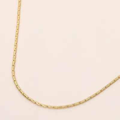Fashnzfab Wheat Chain Necklace In Gold