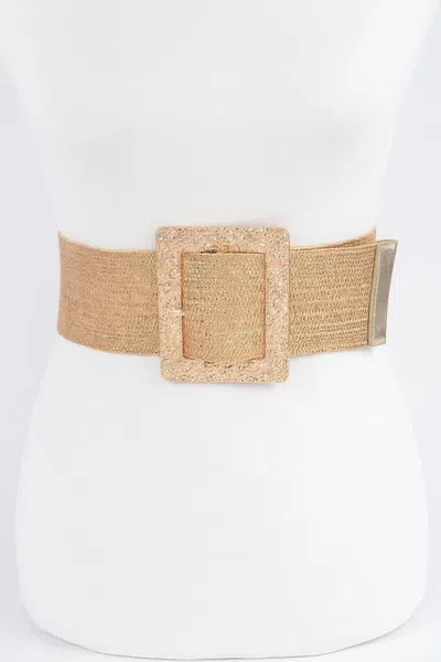 Fashnzfab Wide Metal Buckle Plus Size Belt In Brown
