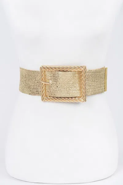 Fashnzfab Wide Metal Buckle Plus Size Clear Belt In Gold