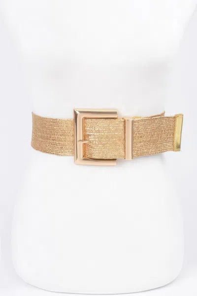 Fashnzfab Women's Clear Pvc Metal Buckle Belt In Gold