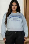 Fashnzfab Women's Plus Size Graphic Drop Shoulder Sweatshirt In Grey