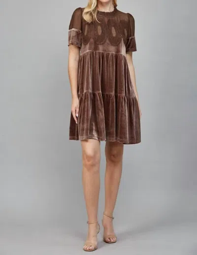 Fate Contrast Sheer Mesh Intricate Lace Detail Mini Dress In Choco Brown