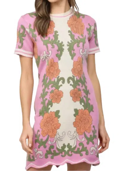 Fate Delaney Dress In Pink
