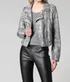 Fate Snake Print Blazer Jacket In Grey In Multi