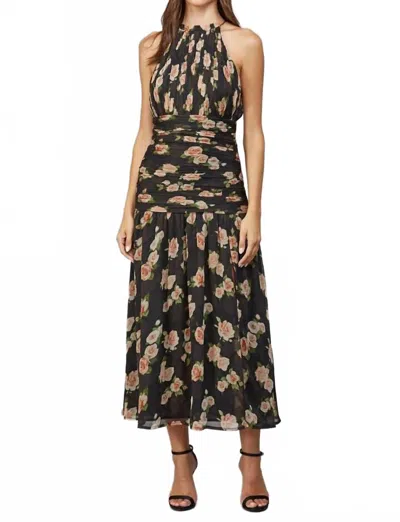 Fate Women's Rose Print Ruched Detail Halter Dress In Black Multi