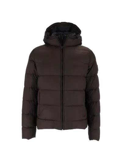 Fay Blue Hooded Horizontal Quilted Down Jacket In Brown