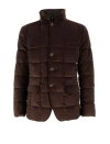 Fay Down Jacket (db Front) In Brown