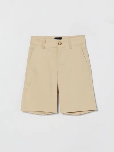 Fay Junior Shorts Kids  In Brown