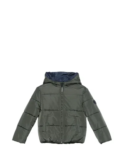 Fay Kids' Quilted Hooded Jacket In Green