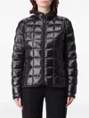 Fay Quilted Jacket In Animal Print