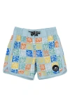 Feather 4 Arrow Palm Check Board Shorts In Crystal Blue