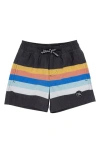 Feather 4 Arrow Stripe Swim Trunks