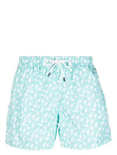 Fedeli Aqua Green Swim Shorts With Seals Pattern