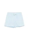 Fedeli Men's Madeira Pinstripe Swim Shorts In Multicolor